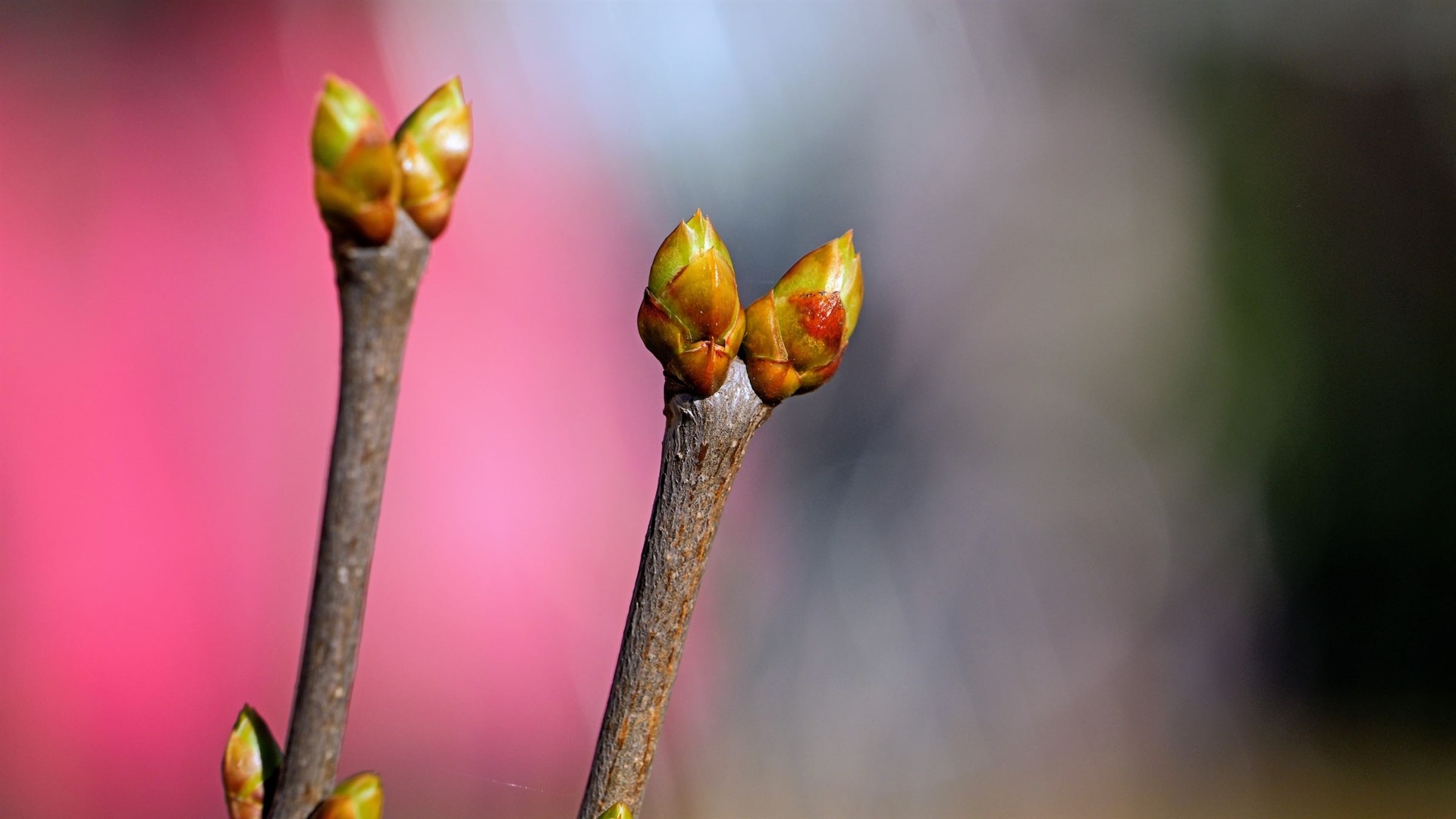 Schenke dir deine Firma zu Weihnachten